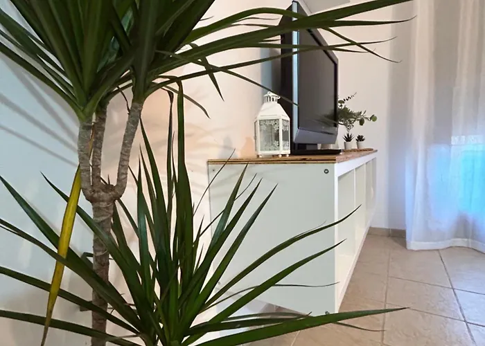 公寓 Rual Amanecer *